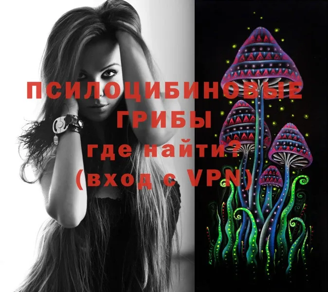 как найти   Бакал  hydra ссылка  Псилоцибиновые грибы MAGIC MUSHROOMS 